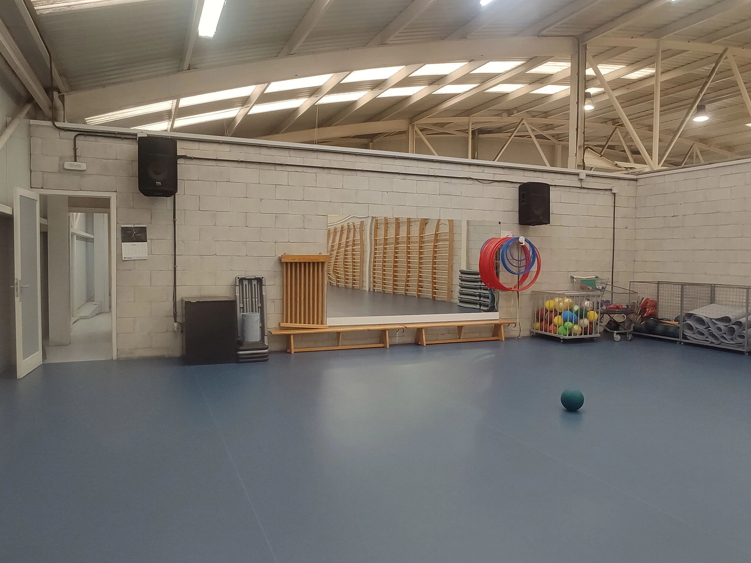 Gimnasio. Foto de un espejo situado en pared, balones recogidos en una jaula y otro en el suelo