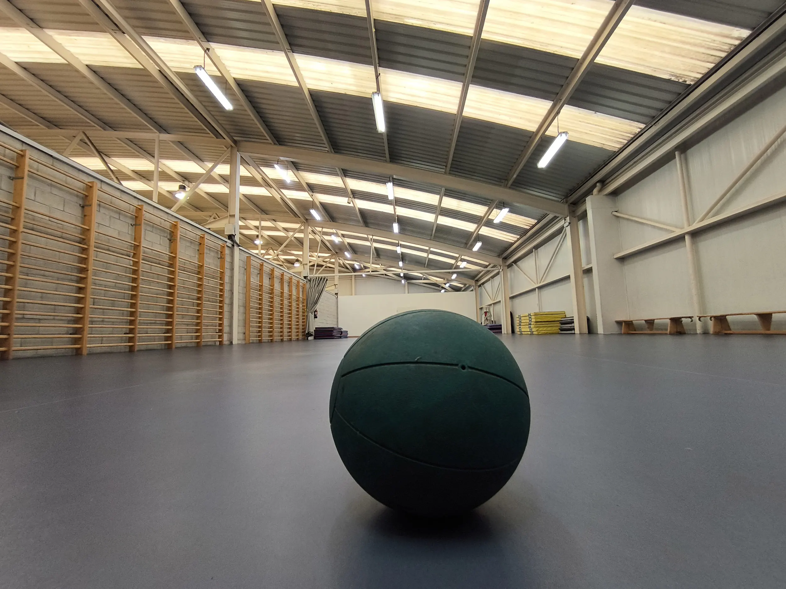 Gimnasio. Imagen desde el suelo. En primer plano un balón de ejercicios