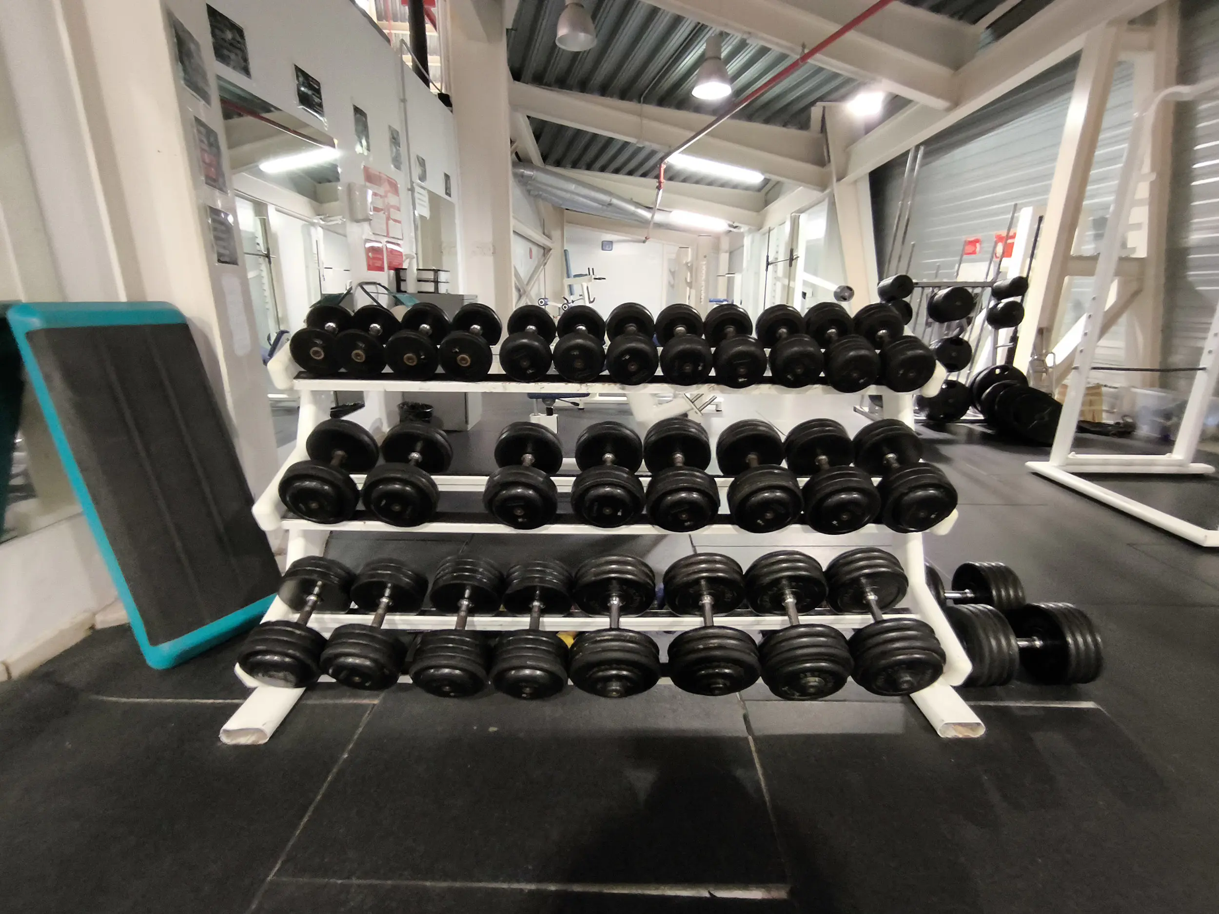 Vista del gimnasio, con detalle en primer plano de varias mancuernas en sus soportes