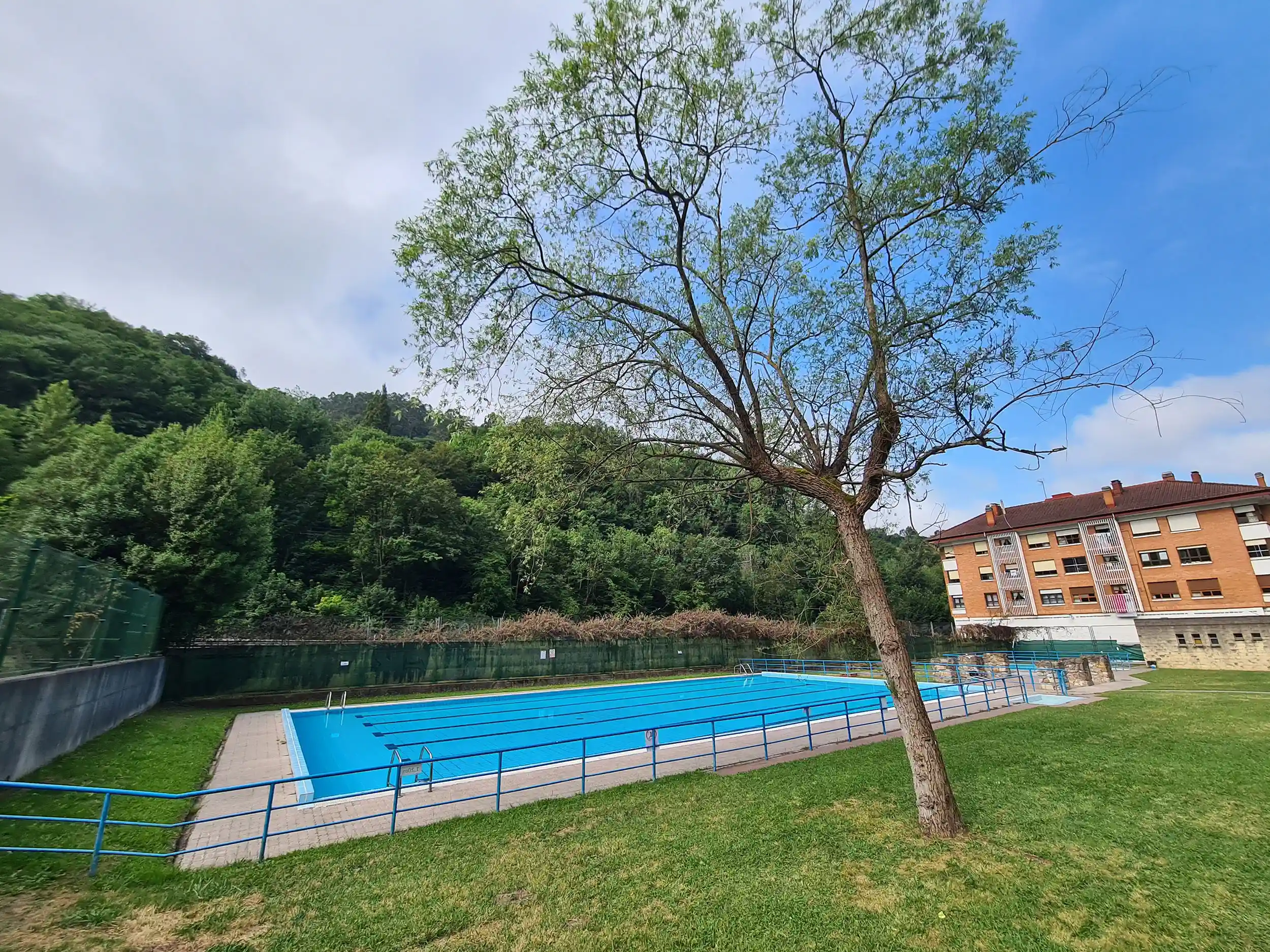 vista de la piscina principal desde la zona de playa con un árbol en primer plano