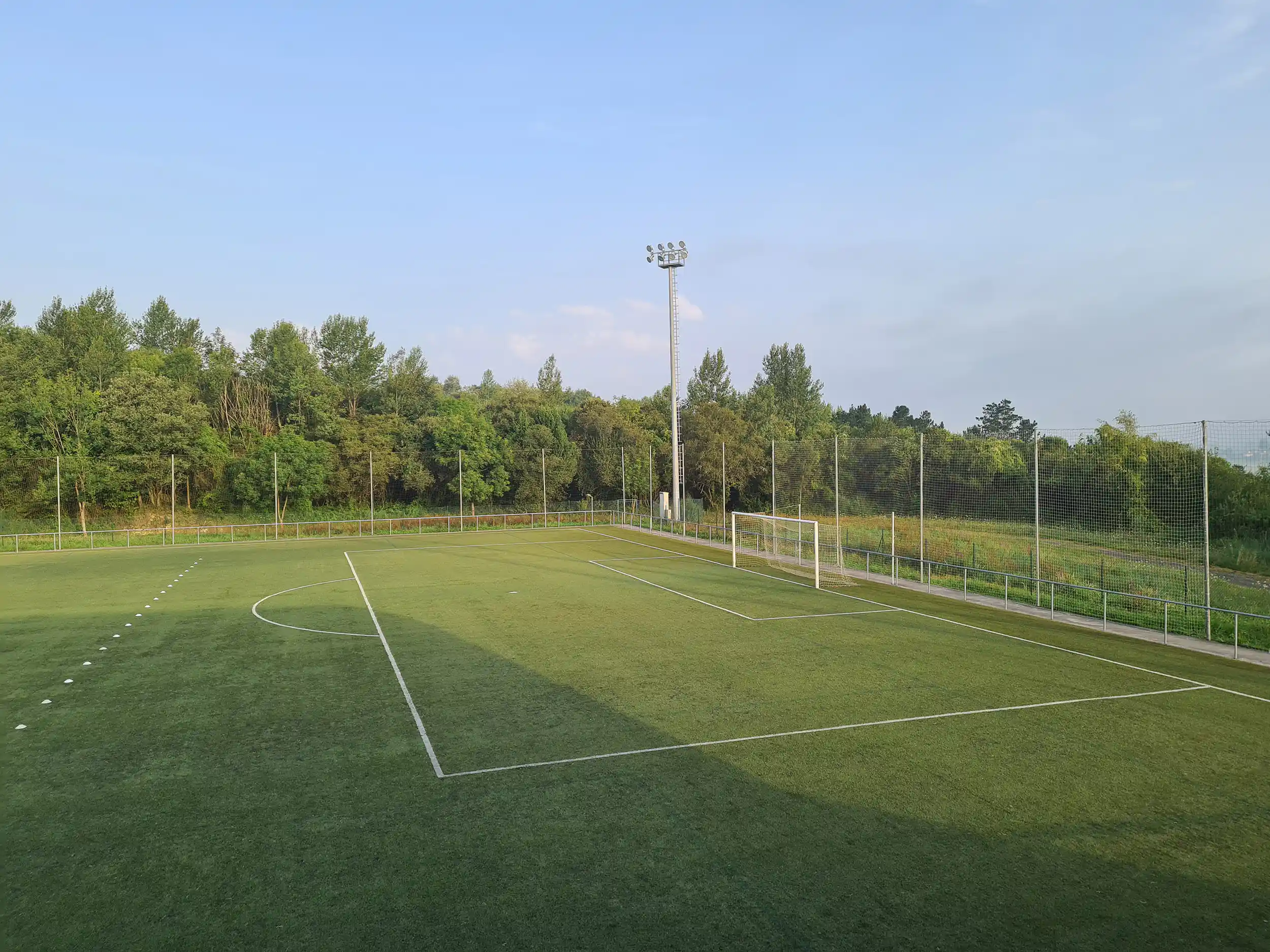 Imagen parcial de un campo de fútbol 11, con las áreas, una portería y una torre de iluminación