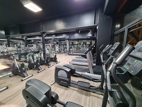 Sala de fitness y musculación, con diversas máquinas de ejercicio