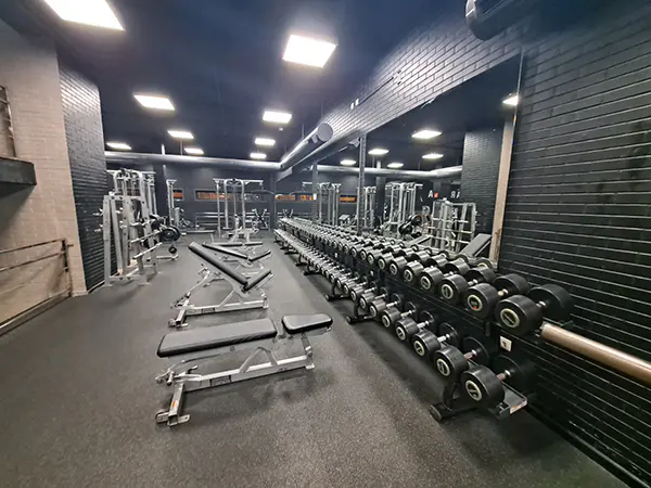 Sala de fitness, con pesas y bancos de musculación