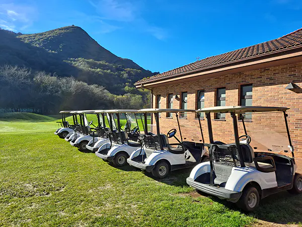 Fila de "buggies" aparcados junto a la fachada lateral del edificio principal