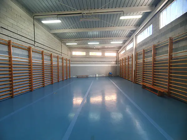 Gimnasio, imagen general del mismo vacio de equipacion. Espalderas en los laterales