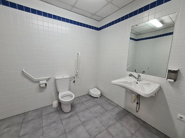Interior del aseo para personas con discapacidad. Inodoro, lavabo y espejo