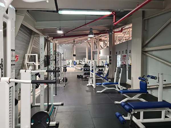 Área de gimnasio y ejercicio físico, con bancos y máquinas de musculación