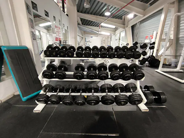 Vista del gimnasio, con detalle en primer plano de varias mancuernas en sus soportes