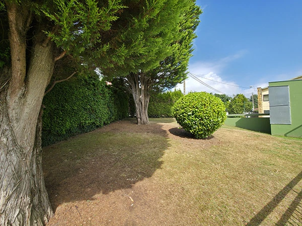 vista de una de las zonas de playa con árboles