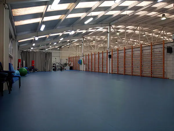 Sala Gimnasio .Al fondo aparatos de ejercicios y espalderas