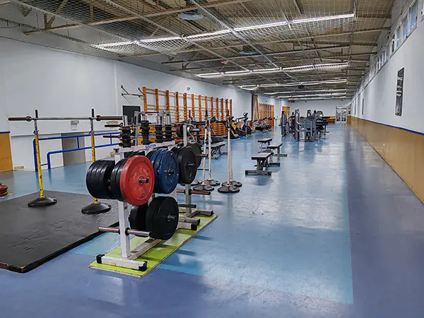 Vista del gimnasio, con baterías de pesas, bancos y máquinas de musculación
