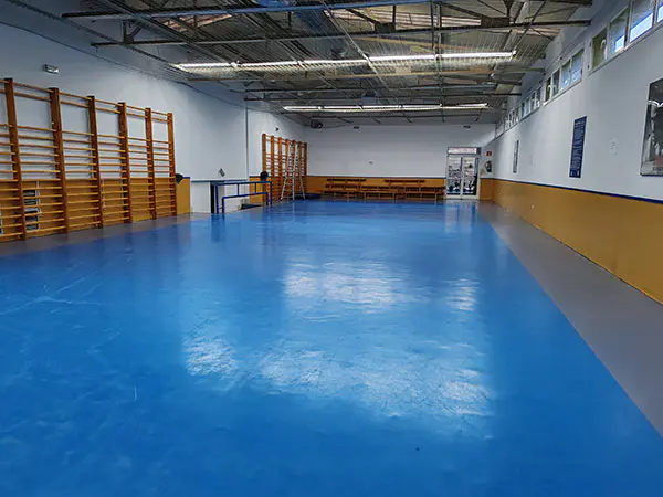 Zona posterior del gimnasio, con un área polivalente, con espalderas y sin aparatos de ejercicio