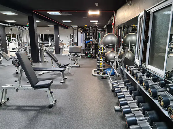 Sala de musculación, con conjunto de mancuernas en sus soportes y bancos de musculación