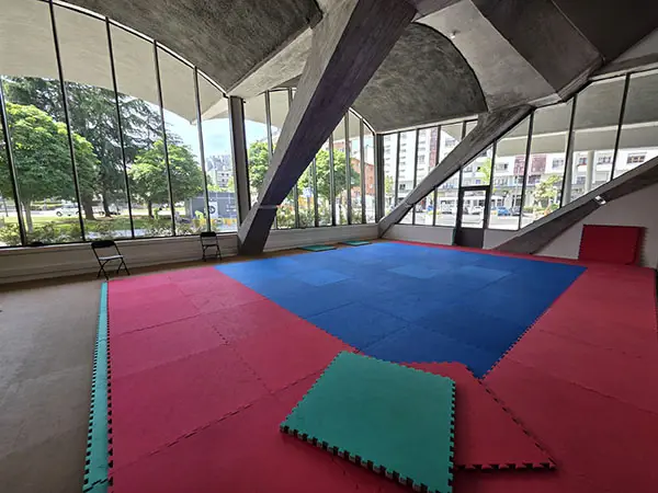 Sala de tatamis del Palacio de los Deportes de Oviedo con superficie acolchada para entrenamiento y grandes ventanales