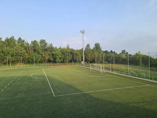 Imagen parcial de un campo de fútbol 11, con las áreas, una portería y una torre de iluminación