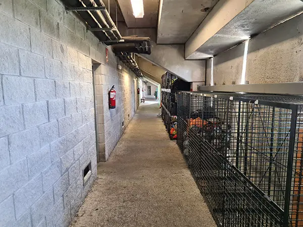 Pasillo con equipamiento deportivo almacenado en taquillas negras enrejadas en lado derecho