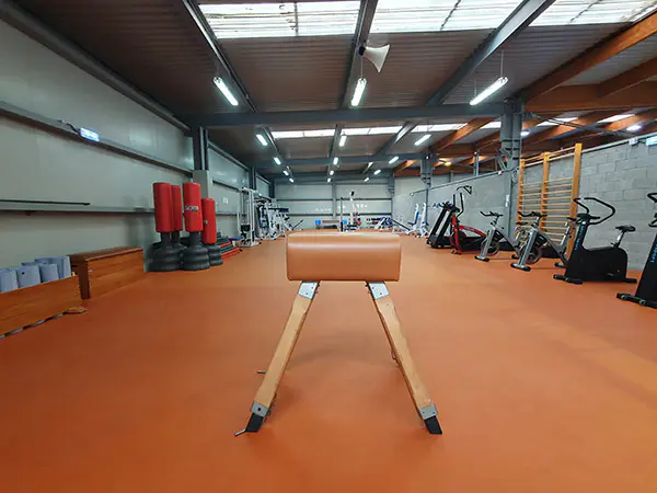 Interior del Gimnasio. Imagen de plinto o potro para salto. Al fondo a los lados varias bicis estaticas