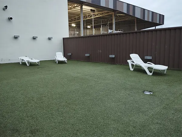 Terraza solárium totalmente descubierta, con piso de moqueta y tumbonas 
